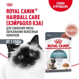 Влажный корм Royal Canin Hairball Care в соусе для взрослых кошек, для выведения волосяных комочков, пауч, 85 г