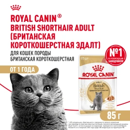 Влажный корм Royal Canin British Shorthair в соусе для кошек породы британская короткошерстная и шотландская вислоухая старше 1 года, пауч, 85 г