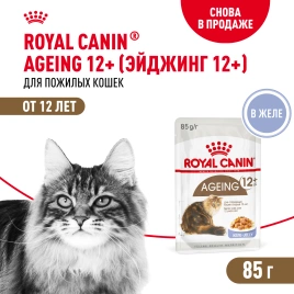 Влажный корм Royal Canin Ageing 12+ в желе для стареющих кошек старше 12 лет, пауч, 85 г