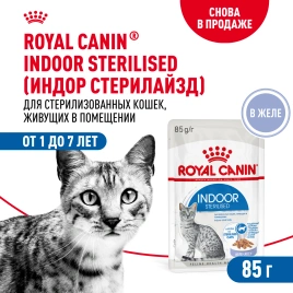 Влажный корм Royal Canin Indoor sterilised в желе для кошек, живущих в помещении, пауч, 85 г