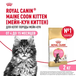 Сухой корм Royal Canin Kitten Maine Coon для котят, 2 кг