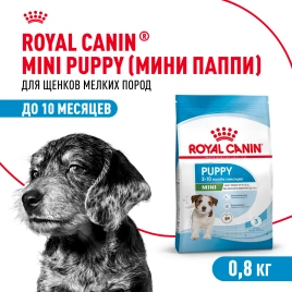 Сухой корм Royal Canin Mini Puppy для щенков, 800 г