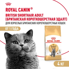 Сухой корм Royal Canin British Shorthair для кошек породы британская короткошерстная, 4 кг