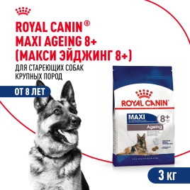 Сухой корм Royal Canin Maxi Ageing 8+ для собак, 3 кг
