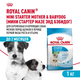 Сухой корм Royal Canin Mini Starter Mother & Babydog для щенков и кормящих сук, 1 кг