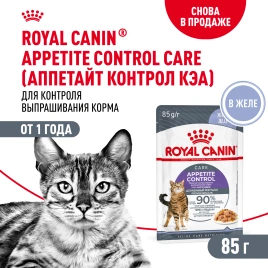 Влажный корм Royal Canin Appetite Control Care в желе для взрослых кошек, для контроля выпрашивания корма, пауч, 85 г