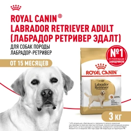 Сухой корм Royal Canin Labrador Retriever Adult для собак, 3 кг