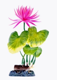Растение Penn-Plax Red Water Lily с грузом красно -зеленое, 22 см