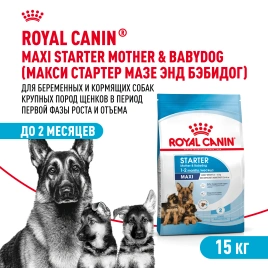 Сухой корм Royal Canin Maxi Starter Mother & Babydog для собак, 15 кг