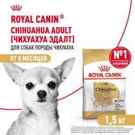Сухой корм Royal Canin Chihuahua Adult для собак породы чихуахуа, 1,5 кг
