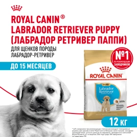 Сухой корм Royal Canin Labrador Retriever Puppy для щенков, 12 кг