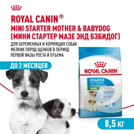 Сухой корм Royal Canin Mini Starter Mother & Babydog для щенков и кормящих сук, 8,5 кг