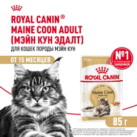Влажный корм Royal Canin Maine Coon в соусе для кошек породы мейн-кун и других крупных пород старше 1 года, пауч, 85 г