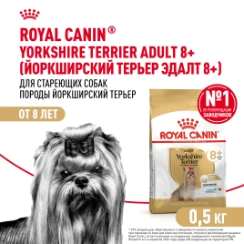 Сухой корм Royal Canin Yorkshire Terrier Adult 8+ для собак породы йоркширский терьер, 500 г