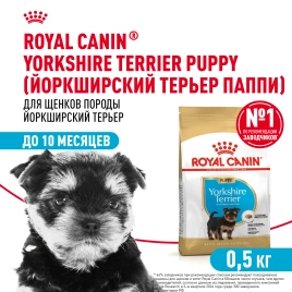 Сухой корм Royal Canin Yorkshire Terrier Puppy для щенков, 500 г