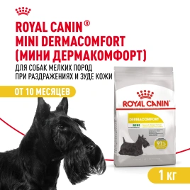 Сухой корм Royal Canin Mini Dermacomfort для собак, 1 кг