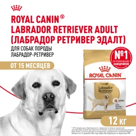 Сухой корм Royal Canin Labrador Retriever Adult для собак, 12 кг
