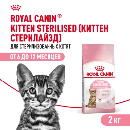 Сухой корм Royal Canin Kitten Sterilised для котят, 2 кг