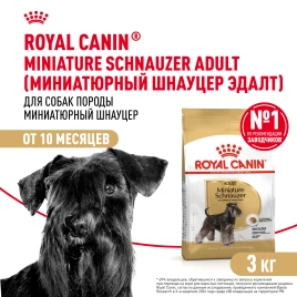 Сухой корм Royal Canin Miniature Schnauzer Adult для собак породы миниатюрный шнауцер, 3 кг