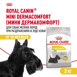 Сухой корм Royal Canin Mini Dermacomfort для собак, 3 кг