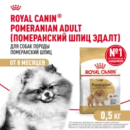 Сухой корм Royal Canin Pomeranian Adult для собак породы померанский шпиц, 500 г