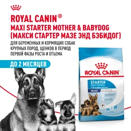 Сухой корм Royal Canin Maxi Starter Mother & Babydog для собак, 4 кг