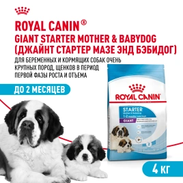 Сухой корм Royal Canin Giant Starter Mother & Babydog для щенков и собак, 4 кг