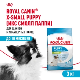 Сухой корм Royal Canin X-Small Puppy для щенков, 3 кг