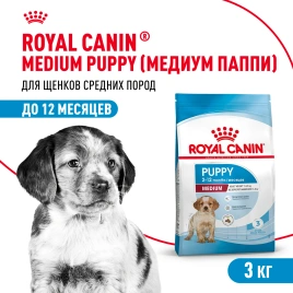 Сухой корм Royal Canin Medium Puppy для щенков, 3 кг