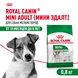 Сухой корм Royal Canin Mini Adult для взрослых собак, 800