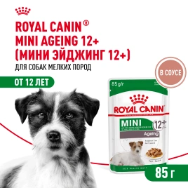 Влажный корм Royal Canin Mini Ageing 12+ в соусе для стареющих собак мелких пород старше 12 лет, пауч, 85 г