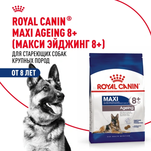 Сухой корм Royal Canin Maxi Ageing 8+ для собак, 3 кг фото 12