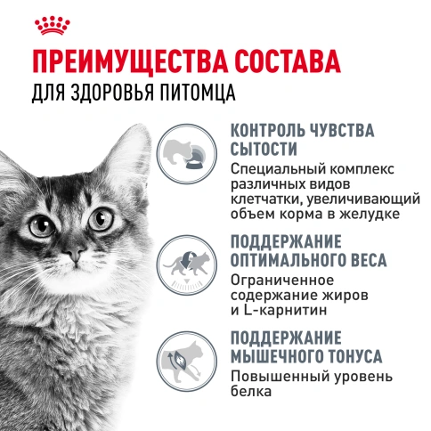 Влажный корм Royal Canin Light Weight Care в соусе для взрослых кошек, склонных к полноте, пауч, 85 г фото 3
