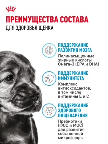 Сухой корм Royal Canin Mini Puppy для щенков, 2 кг фото 21