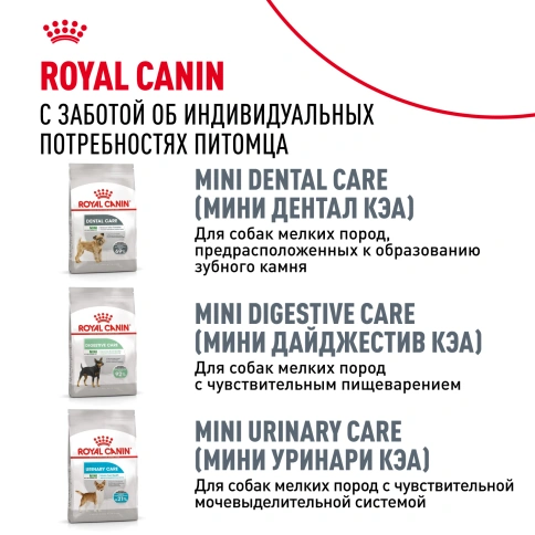 Сухой корм Royal Canin Mini Dermacomfort для собак, 1 кг фото 10
