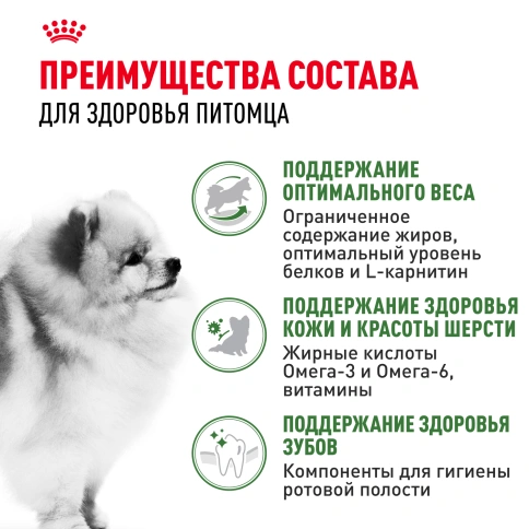 Сухой корм Royal Canin Mini Indoor Adult для собак, 3 кг фото 4