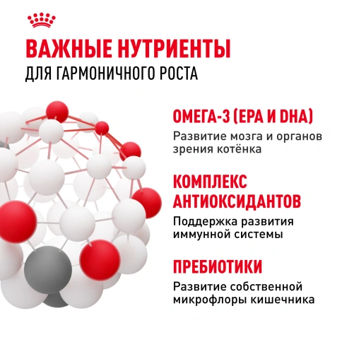 Сухой корм Royal Canin Kitten для котят, 300 г фото 6