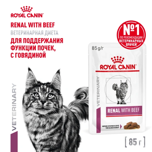 Влажный корм Royal Canin Renal Beef для кошек при заболеваниях почек, в соусе, с говядиной, пауч, 85 г фото 1