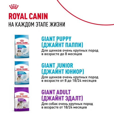 Сухой корм Royal Canin Giant Starter Mother & Babydog для щенков и собак, 4 кг фото 9