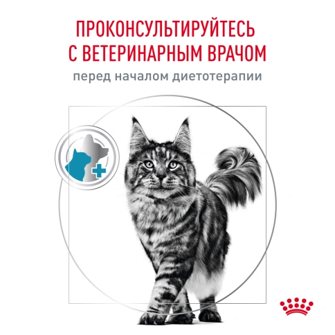 Сухой корм Royal Canin Skin & Coat для кошек, 1,5 кг фото 8