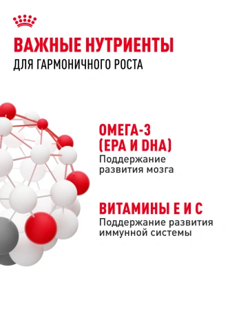 Влажный корм Royal Canin Kitten в соусе для котят до 12 месяцев, пауч, 85 г фото 5