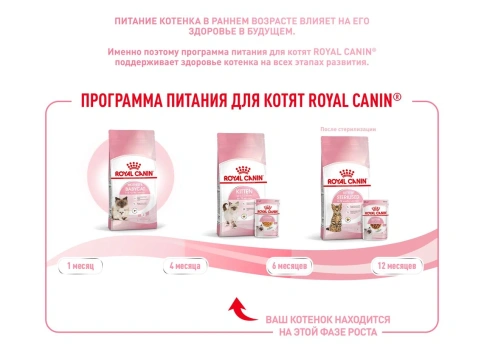 Сухой корм Royal Canin Kitten для котят, 300 г фото 12