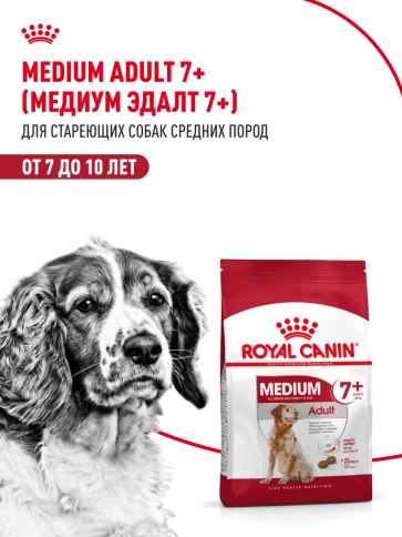 Сухой корм Royal Canin Medium Adult 7+ для собак, 15 кг фото 12