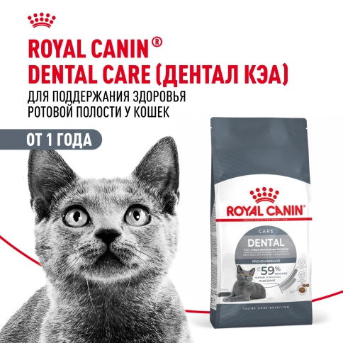 Сухой корм Royal Canin Dental Care для кошек, 400 г фото 13