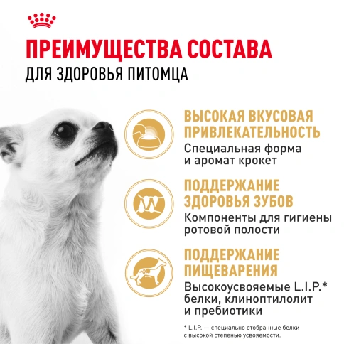 Сухой корм Royal Canin Chihuahua Adult для собак породы чихуахуа, 1,5 кг фото 3