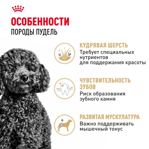 Сухой корм Royal Canin Poodle Adult для взрослых собак, 1,5 кг фото 3