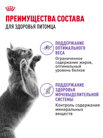 Влажный корм Royal Canin Sterilised в желе для стерилизованных кошек старше 1 года, пауч, 85 г фото 3