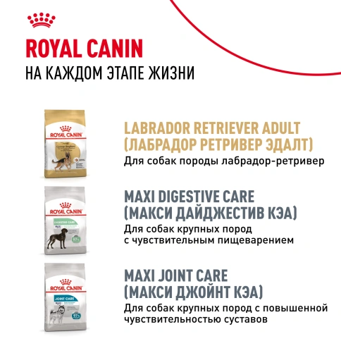 Сухой корм Royal Canin Labrador Retriever Puppy для щенков, 12 кг фото 10
