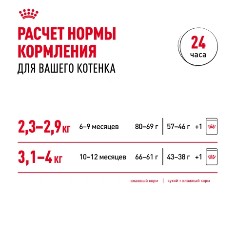 Влажный корм Royal Canin Kitten Sterilised в желе для стерилизованных котят до 12 месяцев, пауч, 85 г фото 7
