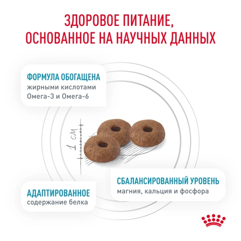 Сухой корм Royal Canin Skin & Coat для кошек, 1,5 кг фото 4